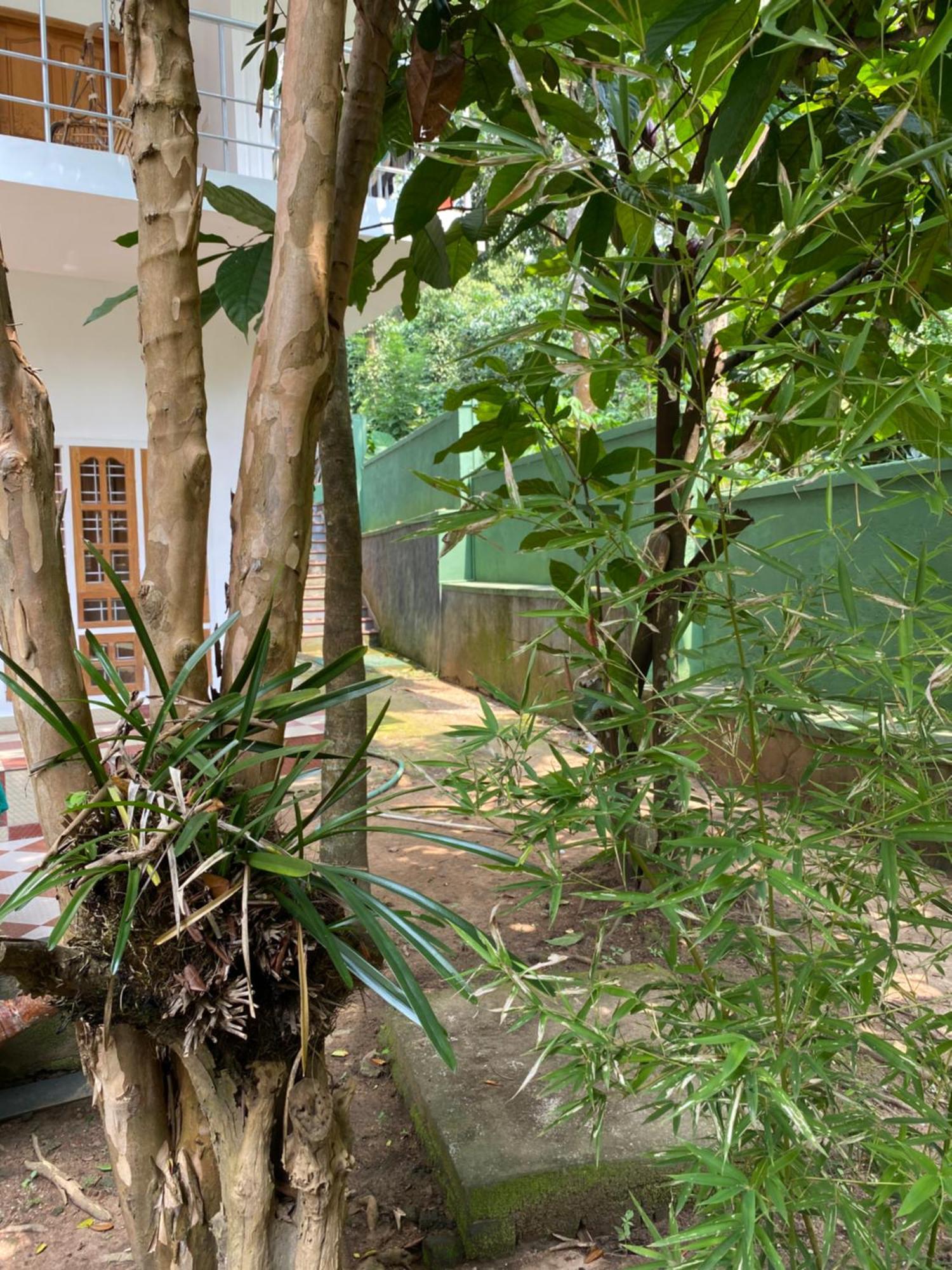 Tranquilou Homestay Теккади Экстерьер фото